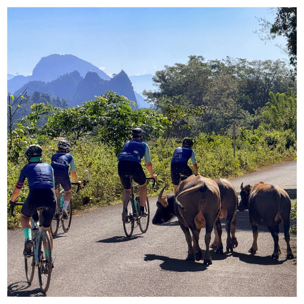 16-DAY CYCLING ODYSSEY: THE MEKONG HERITAGE TRAIL LUANG PRABANG TO SIEM REAP
